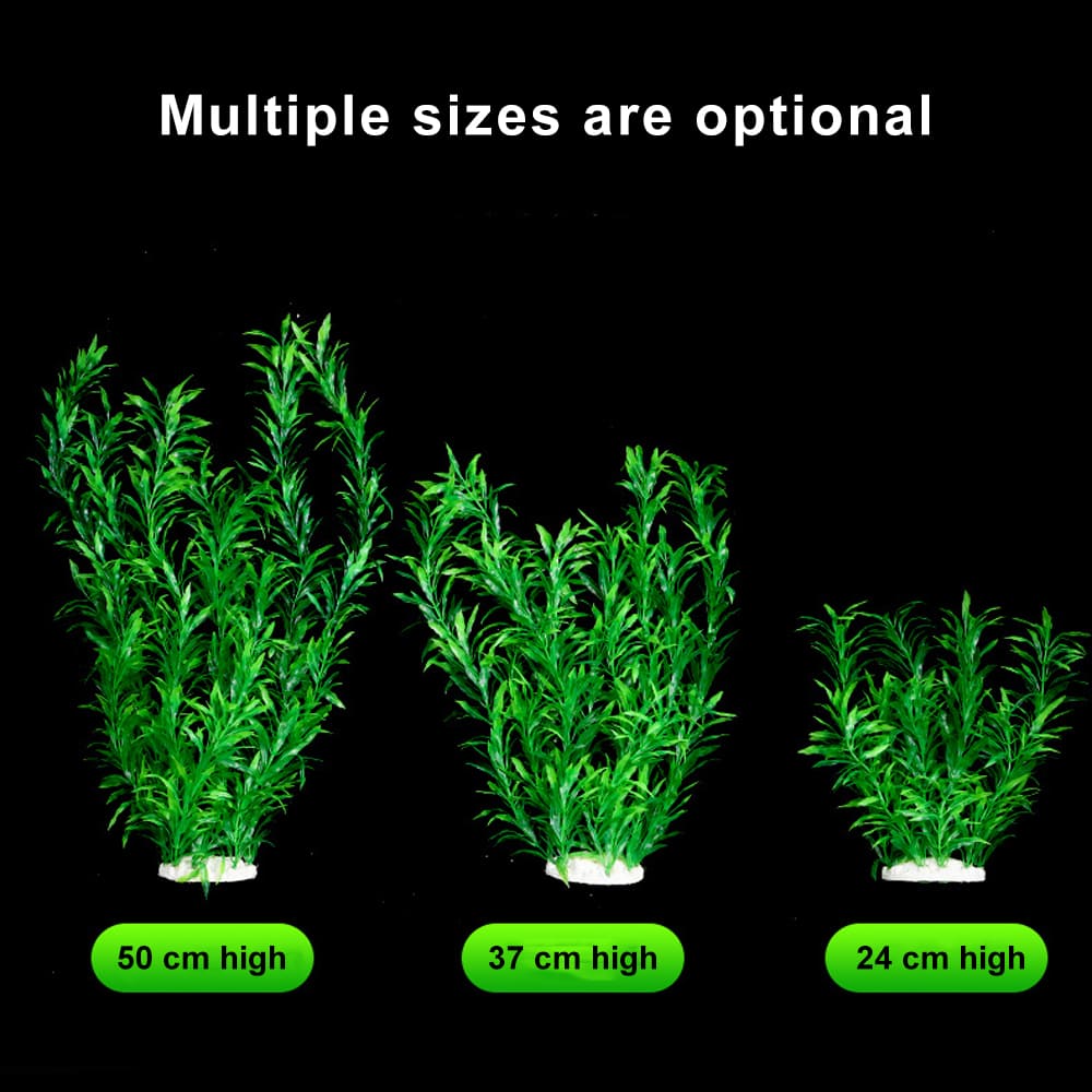 fish tank realistic aquarium plants