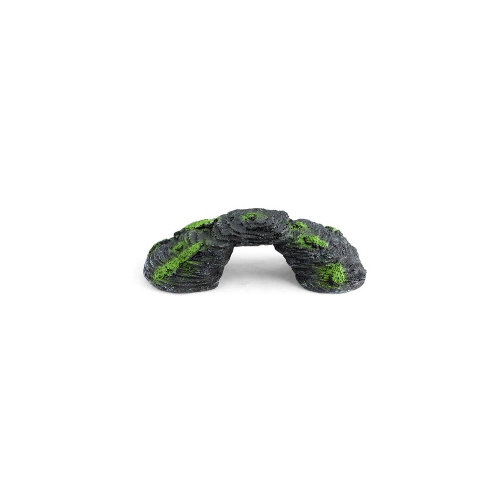 Aquarium simulation arch bridge landscape