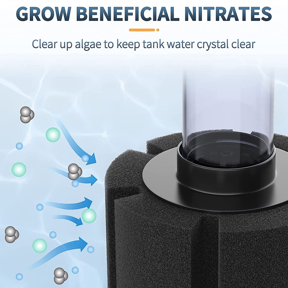sponge filter