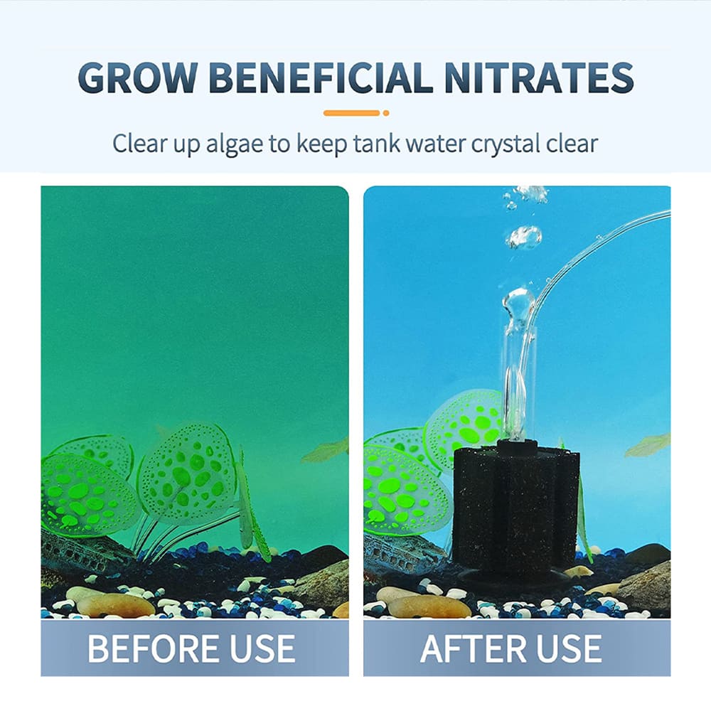 sponge filter