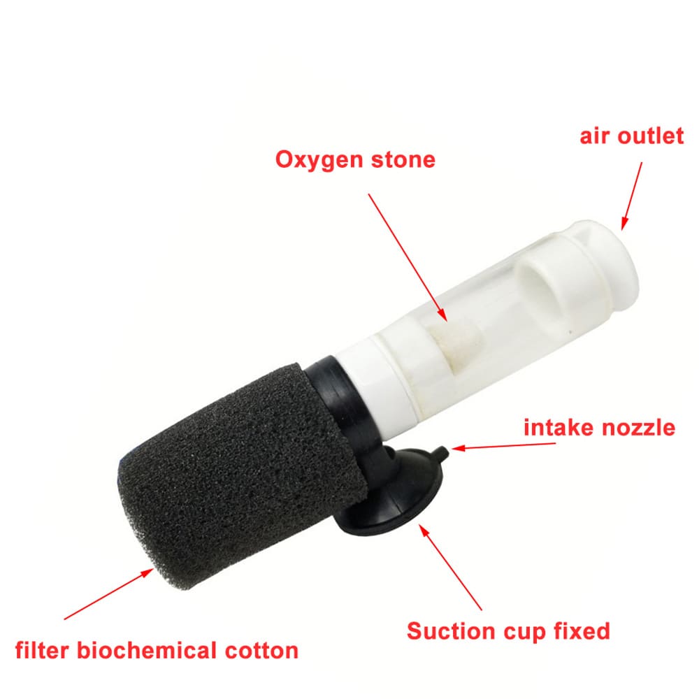sponge filter