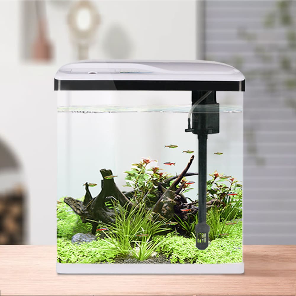 Aquarium Covered aquarium with LED light