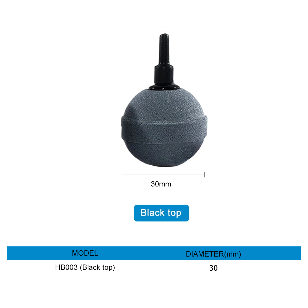 air stone aquarium