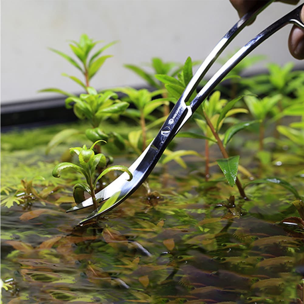 Aquarium Stainless Steel Tools