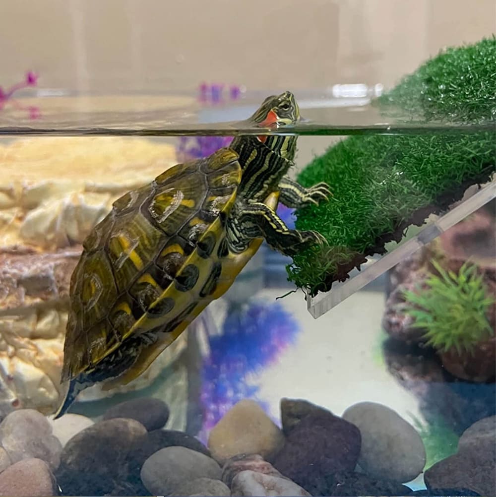 Aquarium simulation turf turtle climbing platform