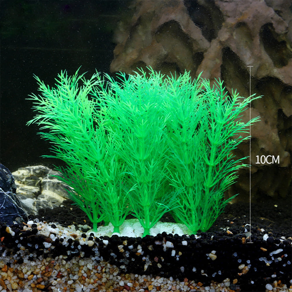 fish tank realistic aquarium plants