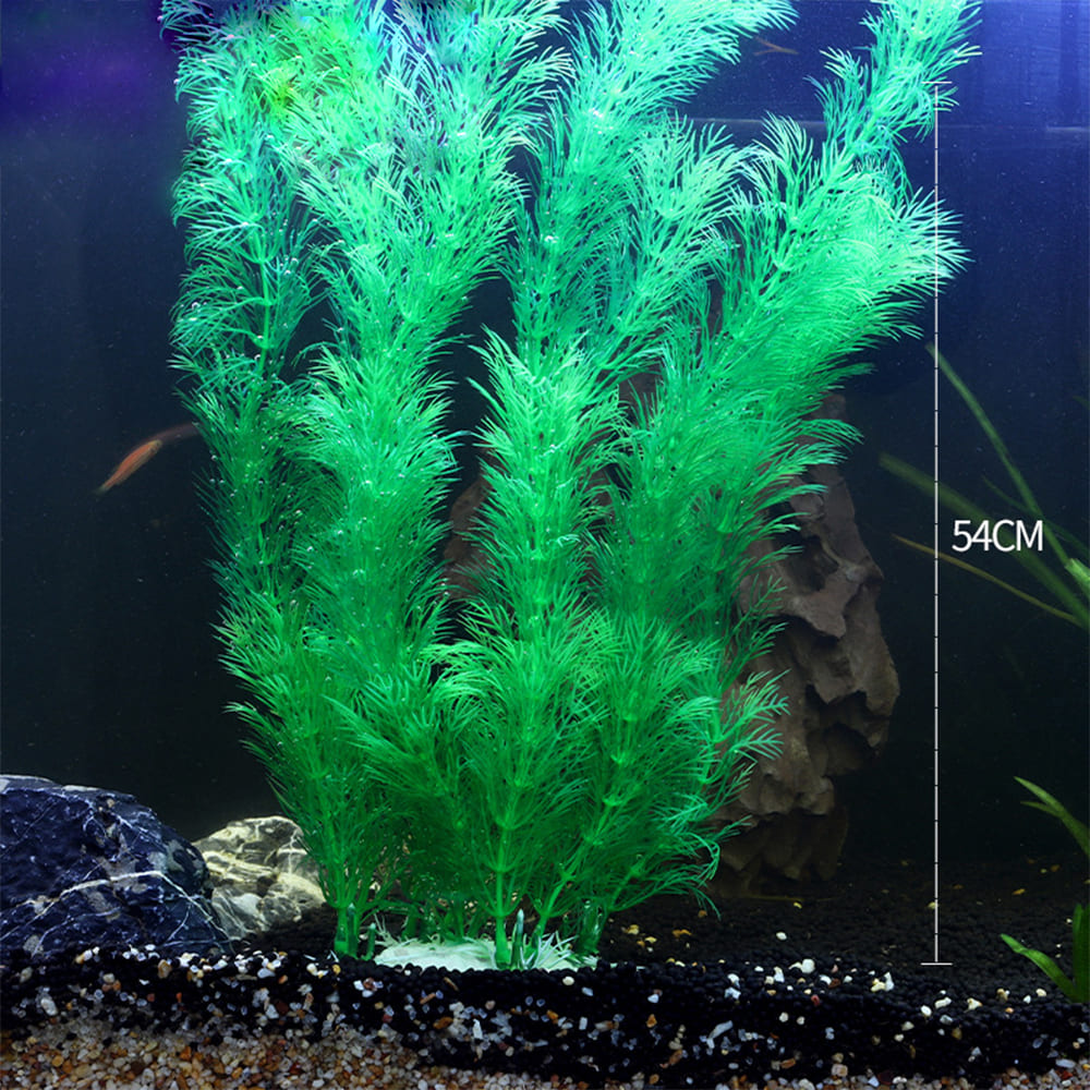 fish tank realistic aquarium plants