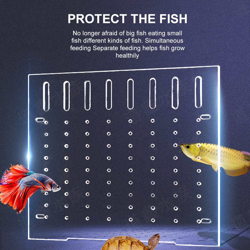 fish tank acrylic divider