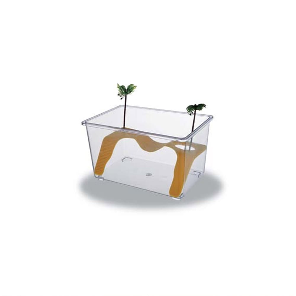 Turtle Tank Terrace