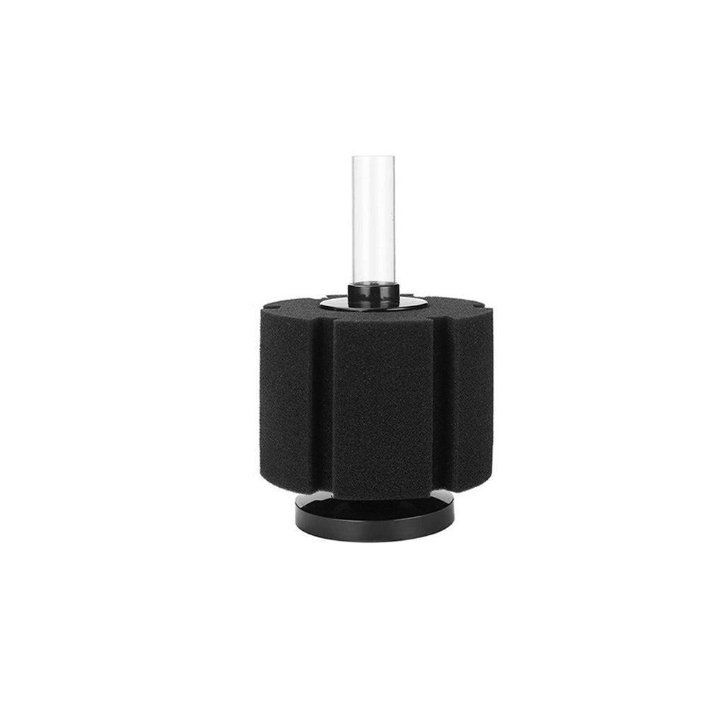 sponge filter
