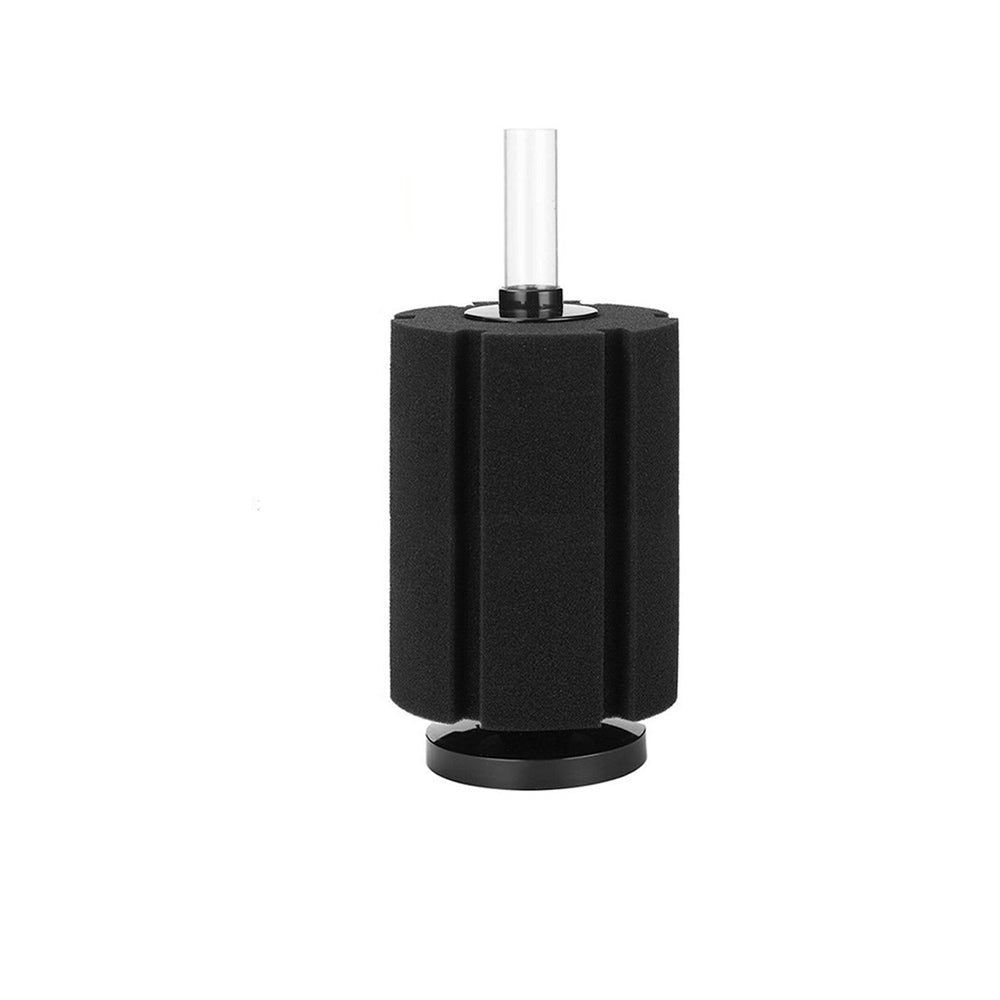 sponge filter