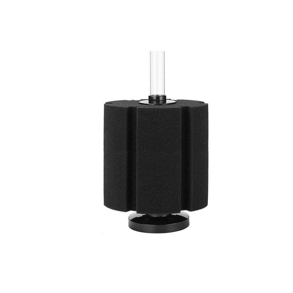 sponge filter