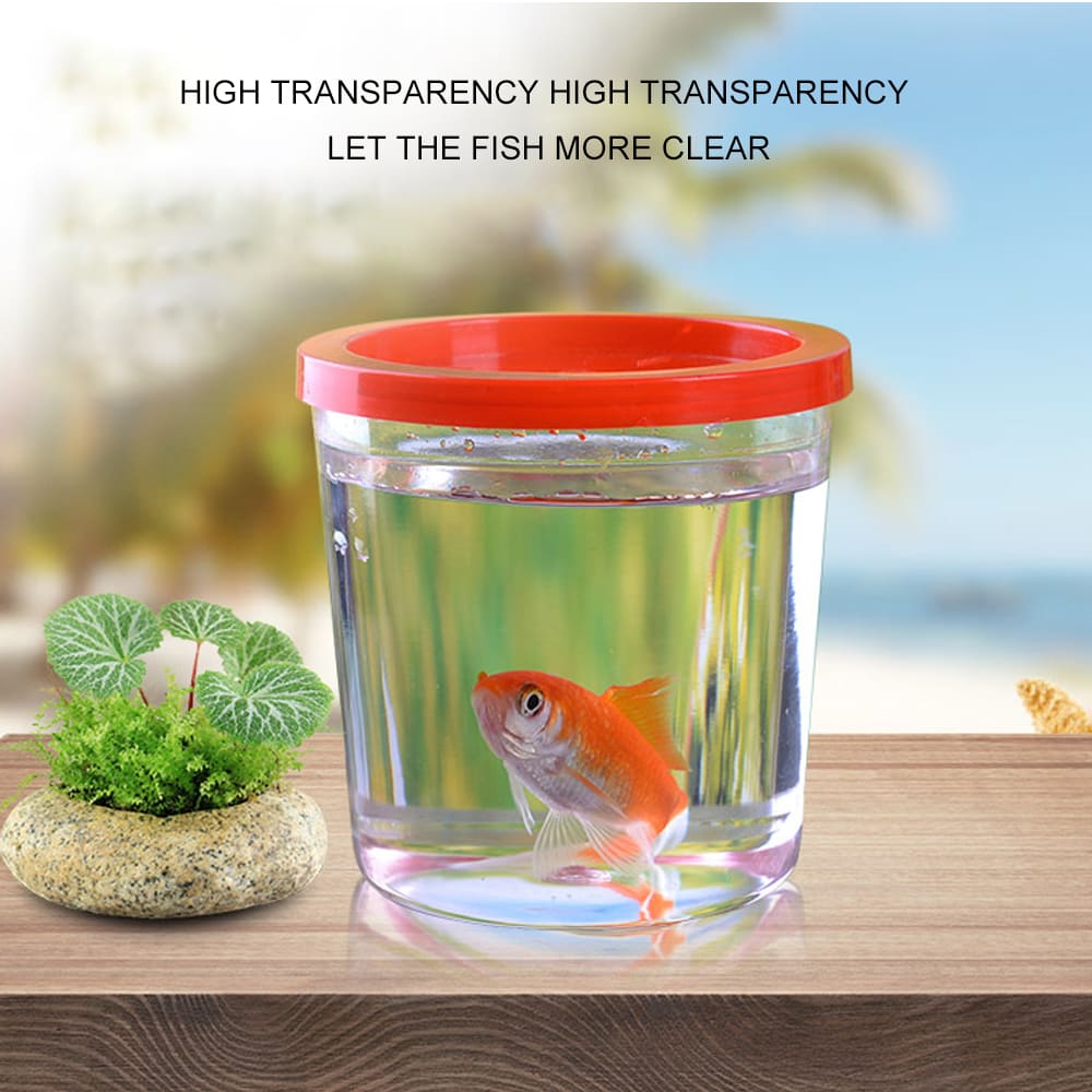 fish tank for betta