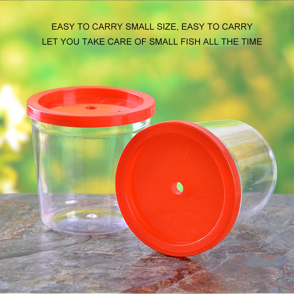 fish tank for betta