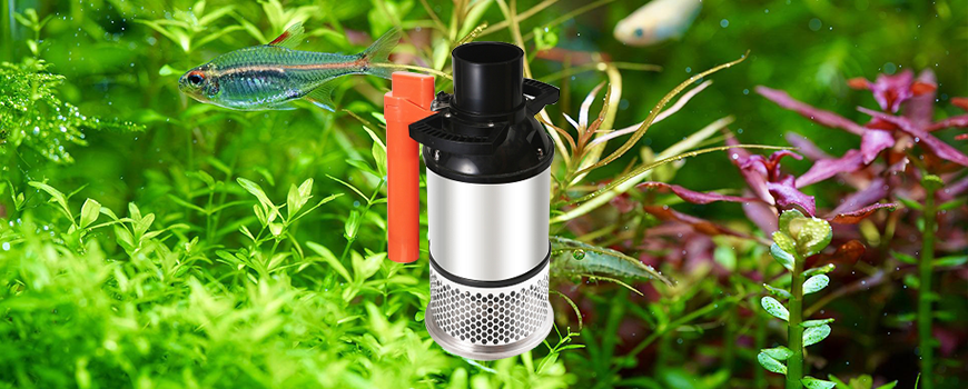 High Power Water Pump Manufacturer Wholesale Fish Pond Water Pump