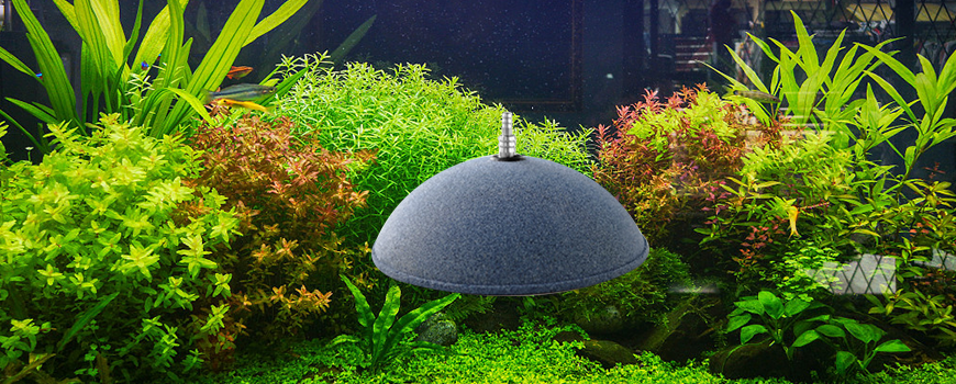 100 Best air stone- Aquarium Supplies Manufacturers Wholesalers