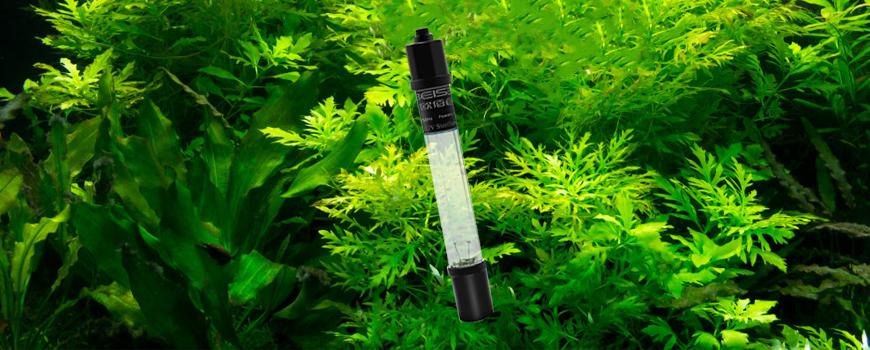 16 Best aquarium heater-Factory Manufacturing Production Wholesale