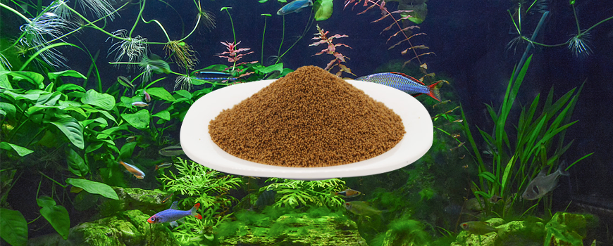 Wholesale fish food and water care