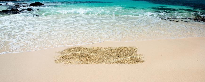 Large Aquarium Decoration Wholesale