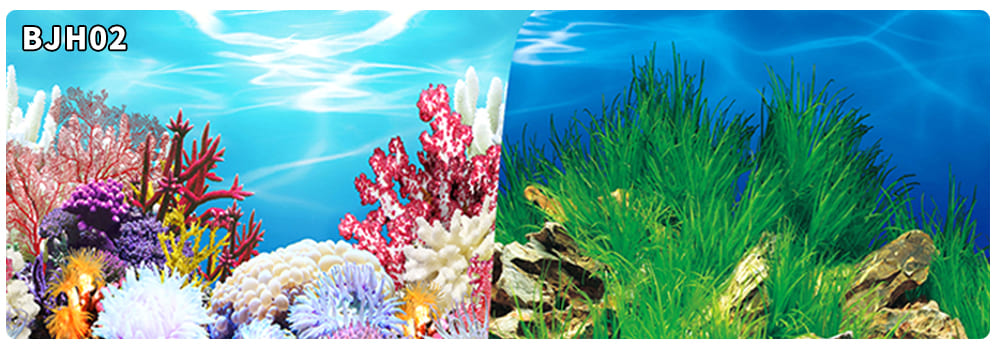 aquarium decorative fish tank background picture double sided