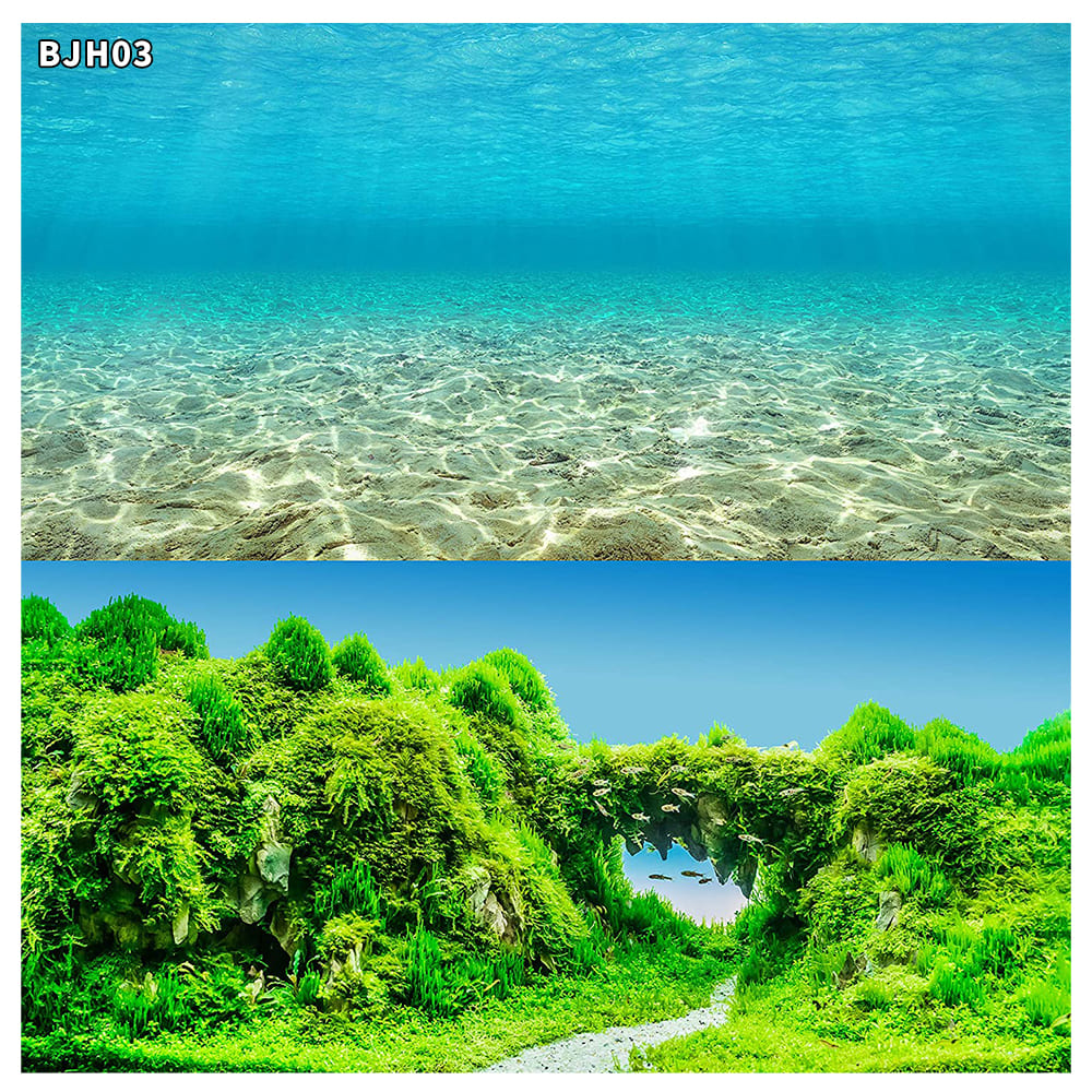 aquarium decorative fish tank background picture double sided