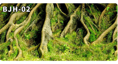 aquarium decorative fish tank background picture single side