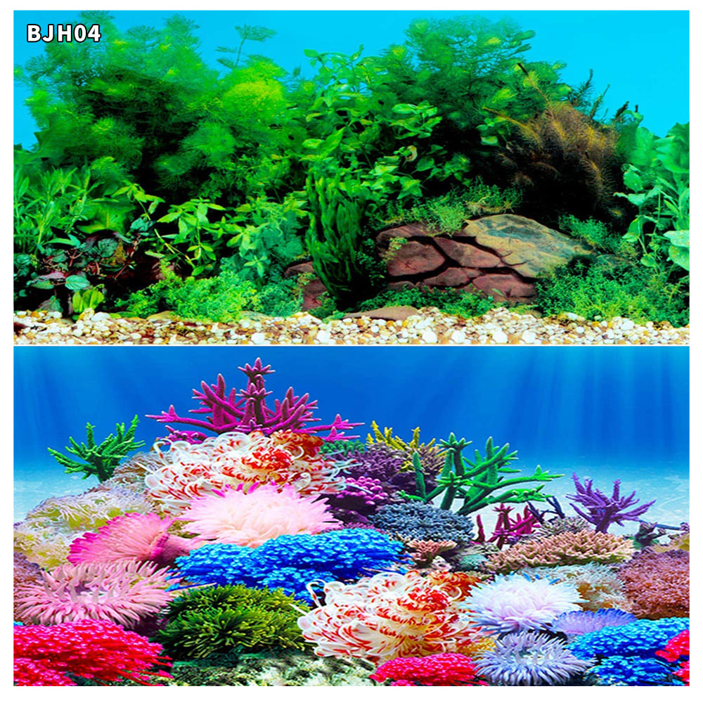 aquarium decorative fish tank background picture double sided