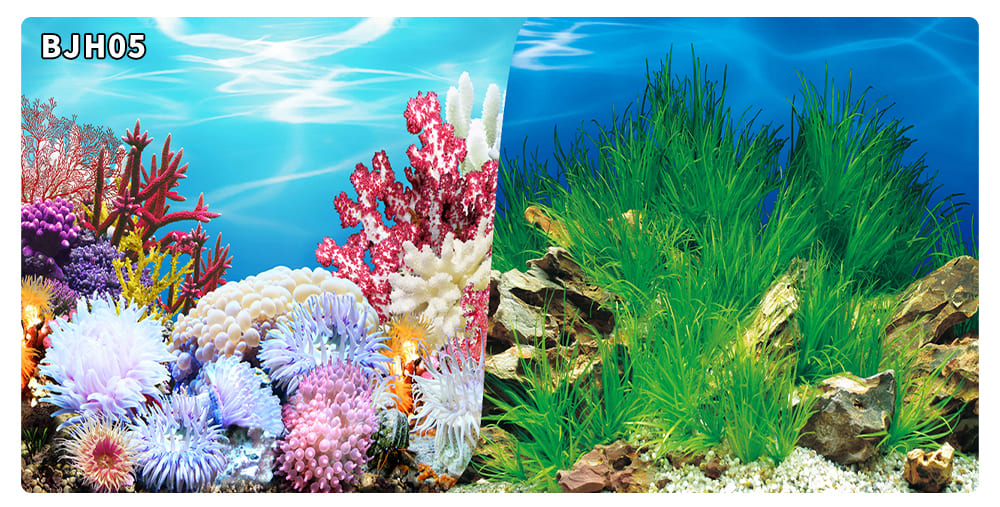 aquarium decorative fish tank background picture double sided