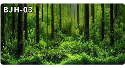 aquarium decorative fish tank background picture single side