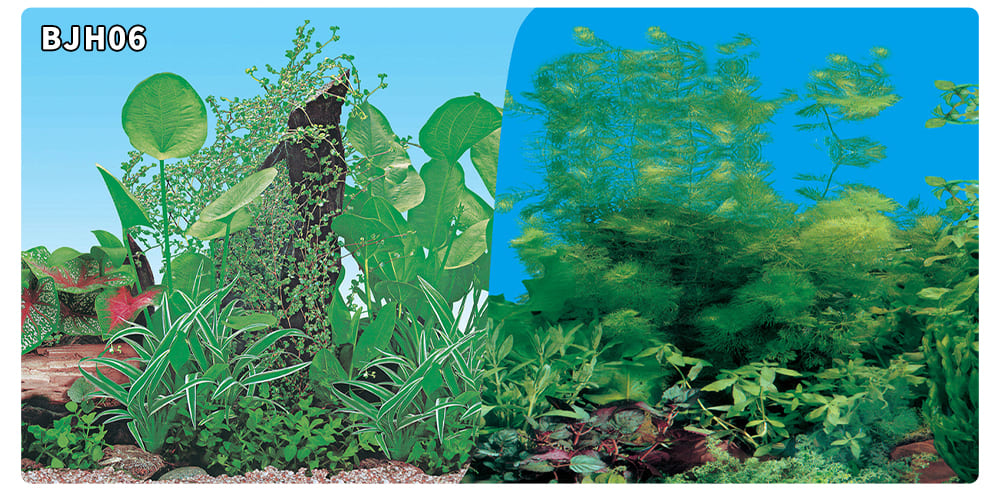 aquarium decorative fish tank background picture double sided