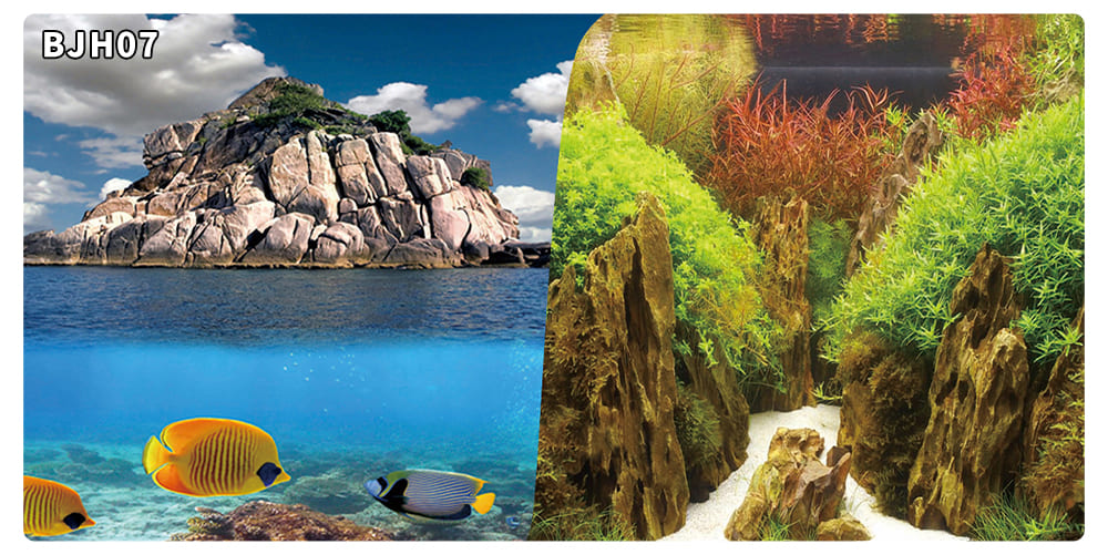 aquarium decorative fish tank background picture double sided