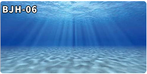 aquarium decorative fish tank background picture single side