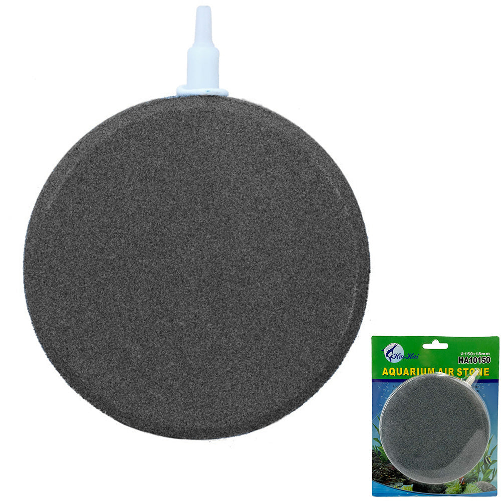 air stone in aquarium