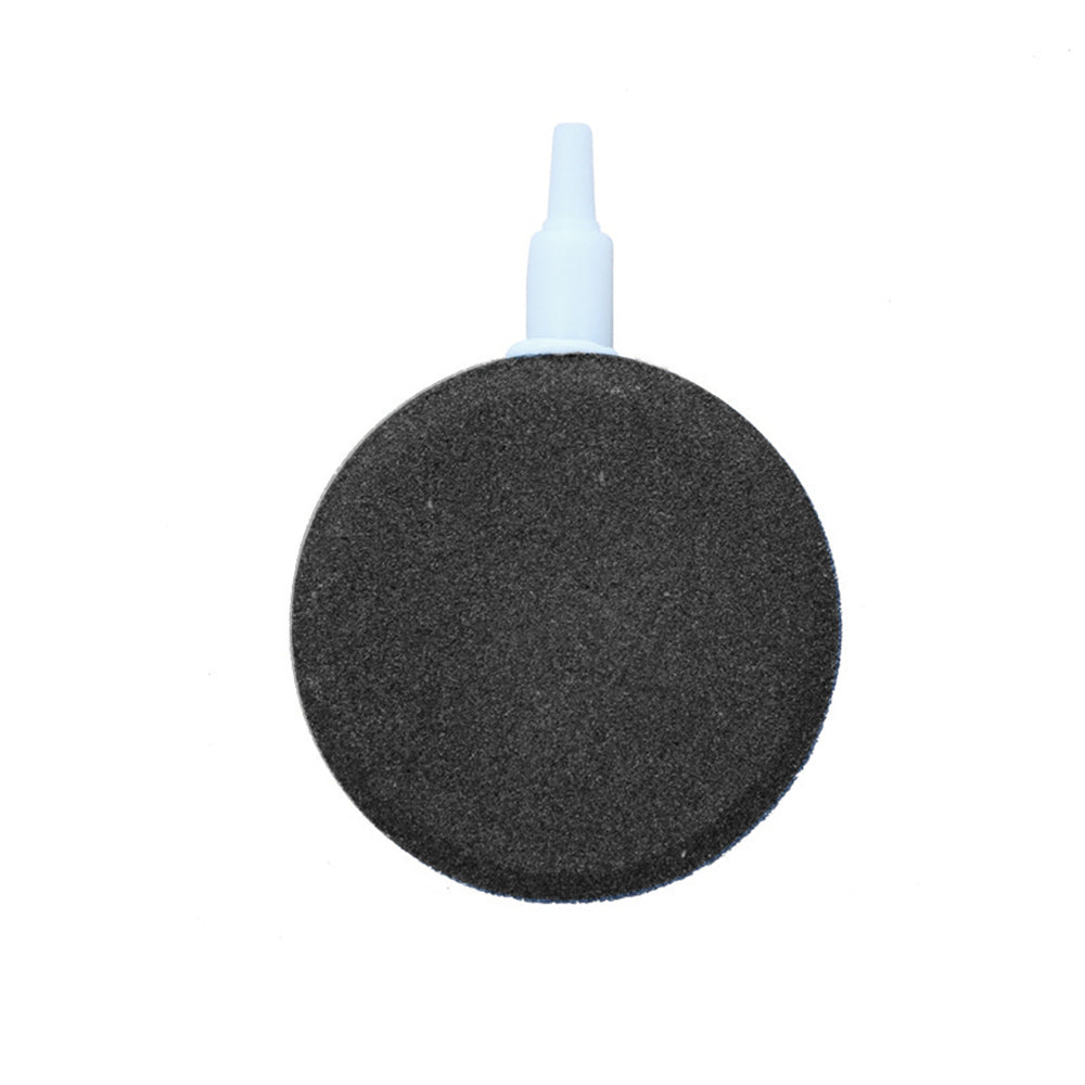 air stone in aquarium