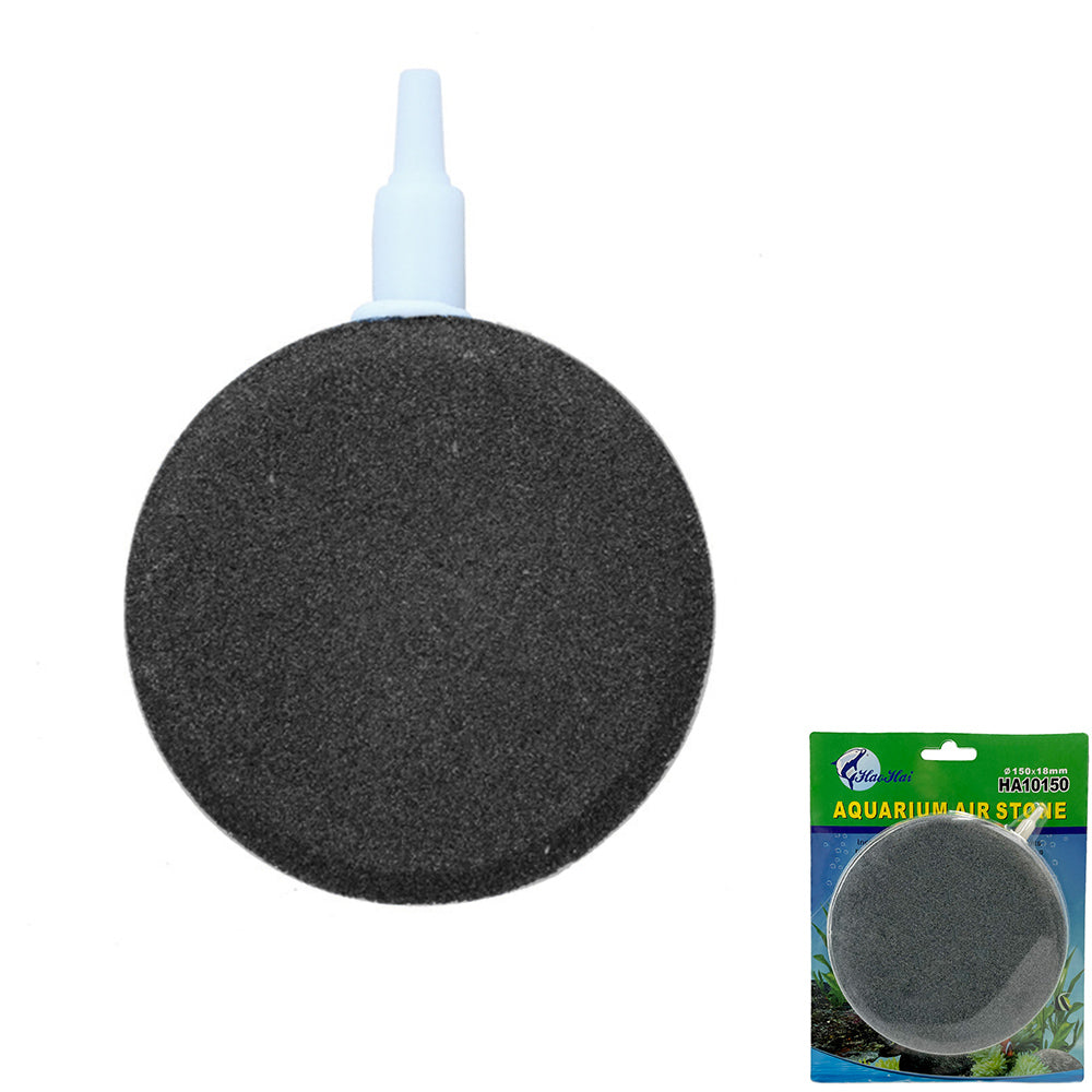 air stone in aquarium