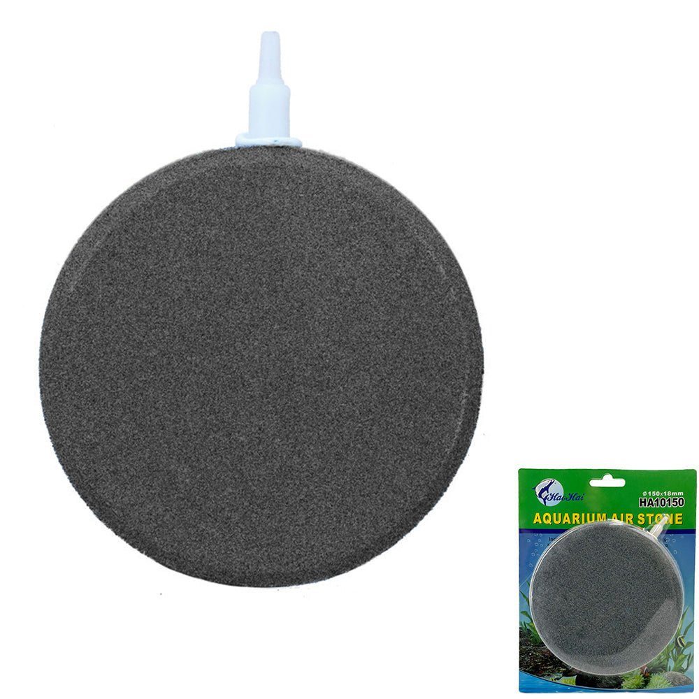 air stone in aquarium