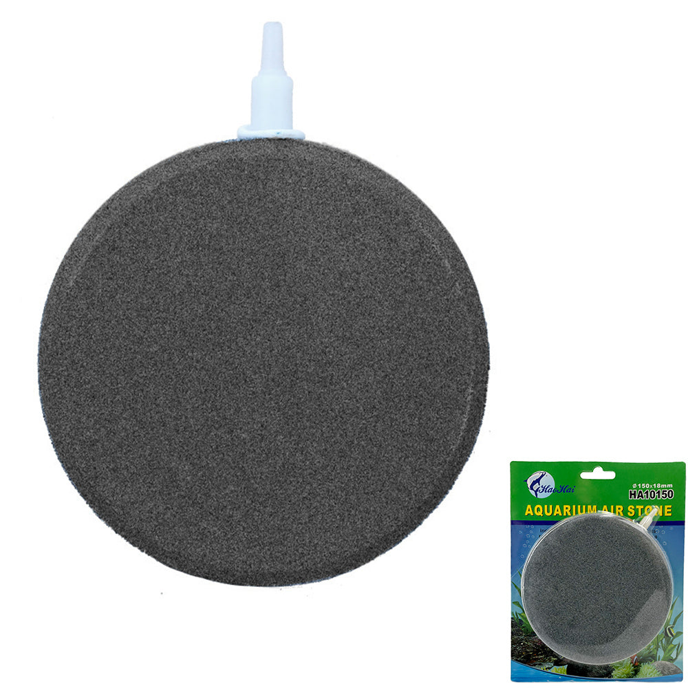 air stone in aquarium