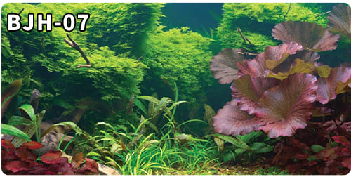 aquarium decorative fish tank background picture single side