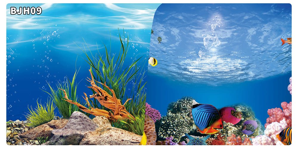 aquarium decorative fish tank background picture double sided