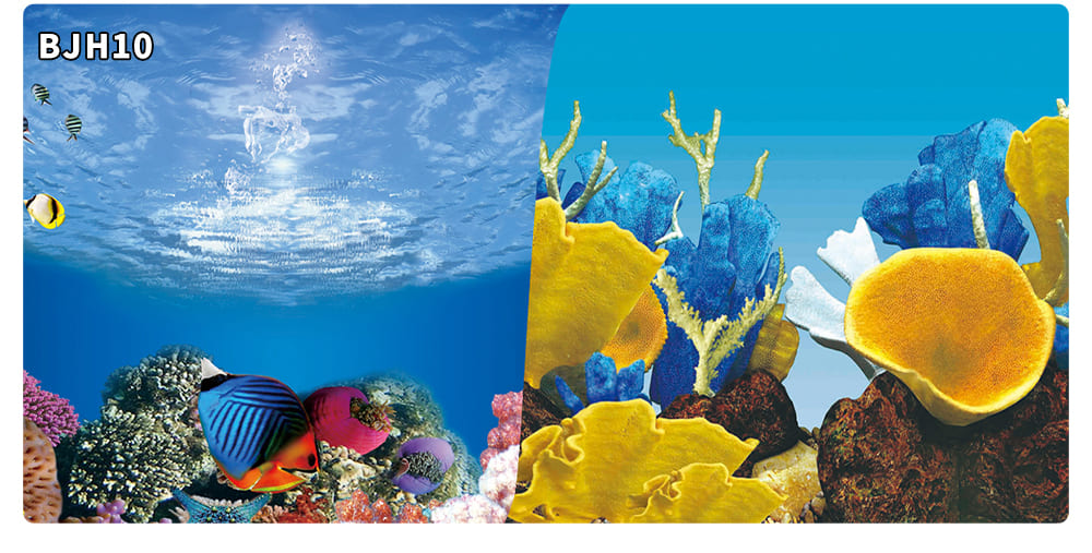 aquarium decorative fish tank background picture double sided