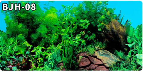 aquarium decorative fish tank background picture single side