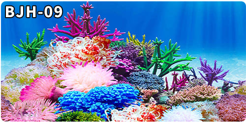 aquarium decorative fish tank background picture single side