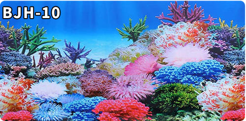 aquarium decorative fish tank background picture single side