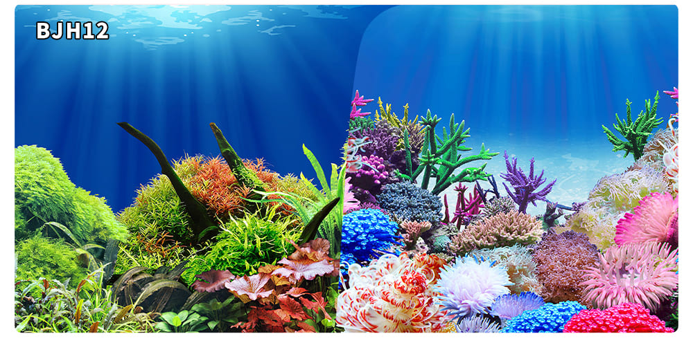 aquarium decorative fish tank background picture double sided