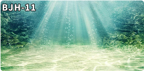 aquarium decorative fish tank background picture single side