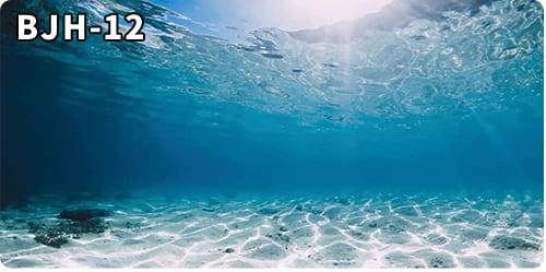 aquarium decorative fish tank background picture single side