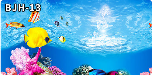 aquarium decorative fish tank background picture single side