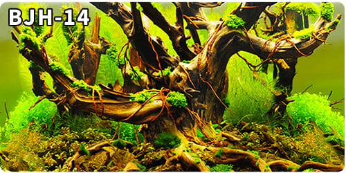 aquarium decorative fish tank background picture single side