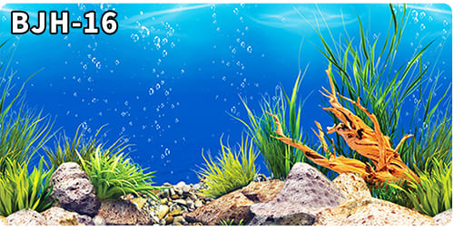aquarium decorative fish tank background picture single side