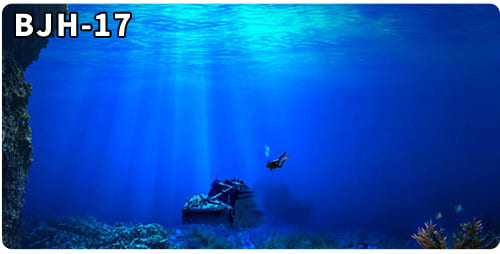 aquarium decorative fish tank background picture single side
